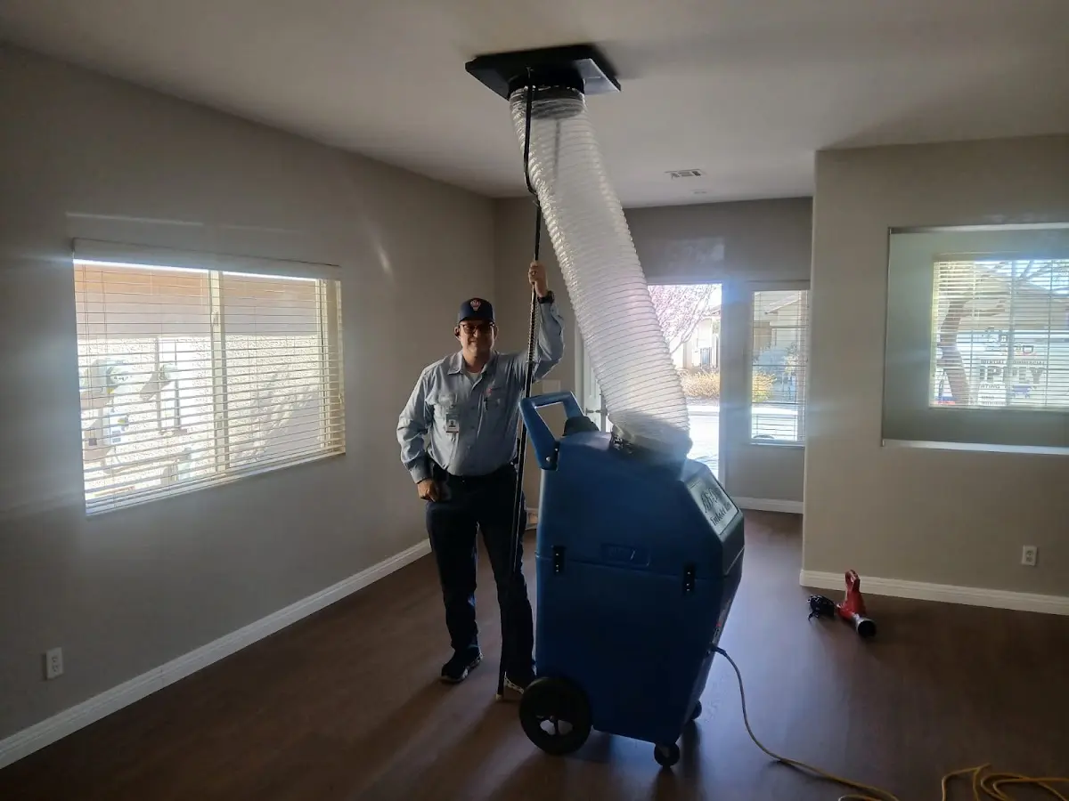 Professional Dryer Vent Cleaning work inside a Bothell home